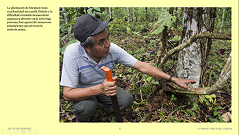 2.2.plantacion